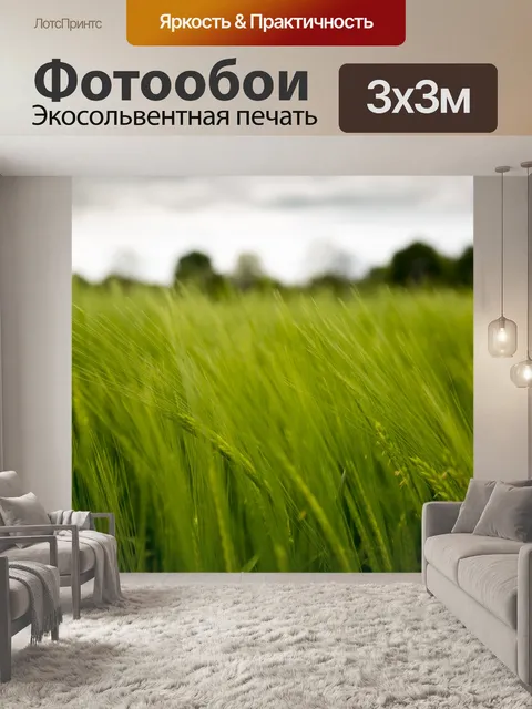 Фотообои Поле зеленого ячменя