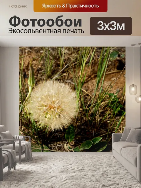 Фотообои Одуванчик в пустыне