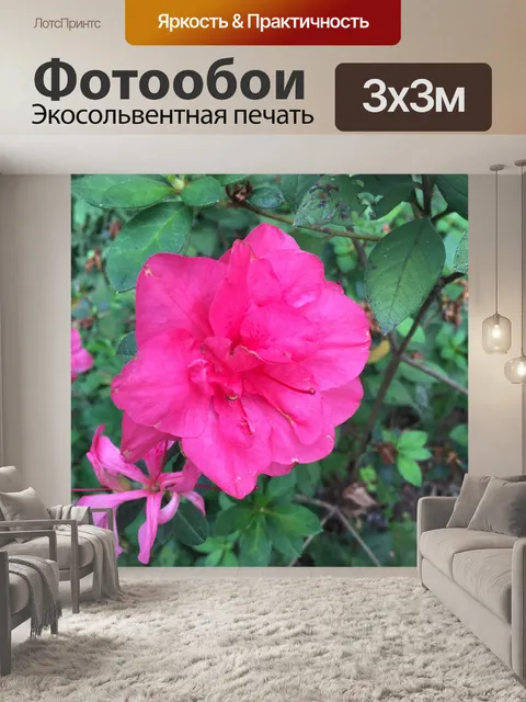 Фотообои Розовая азалия