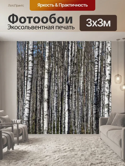 Фотообои Березы