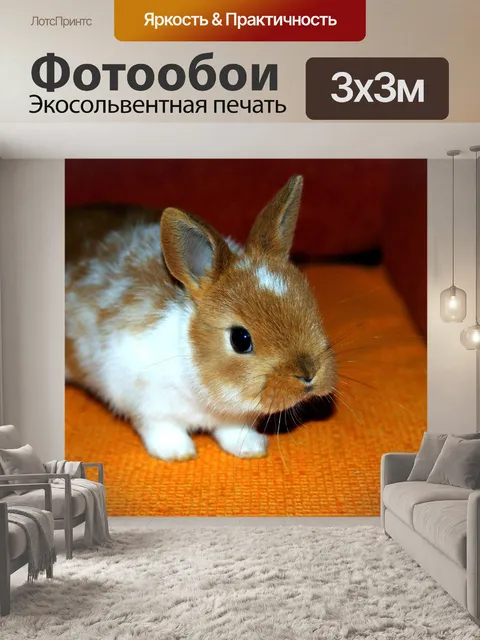 Фотообои Зайчик