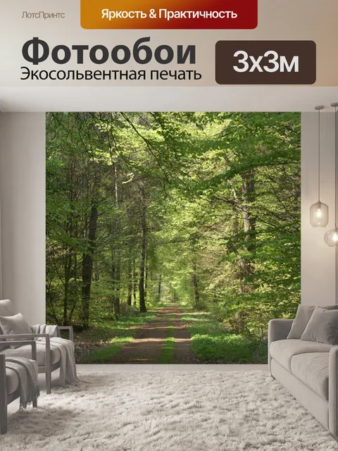 Фотообои Лесная тропа