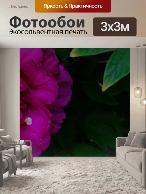 Фотообои Розовые пионы