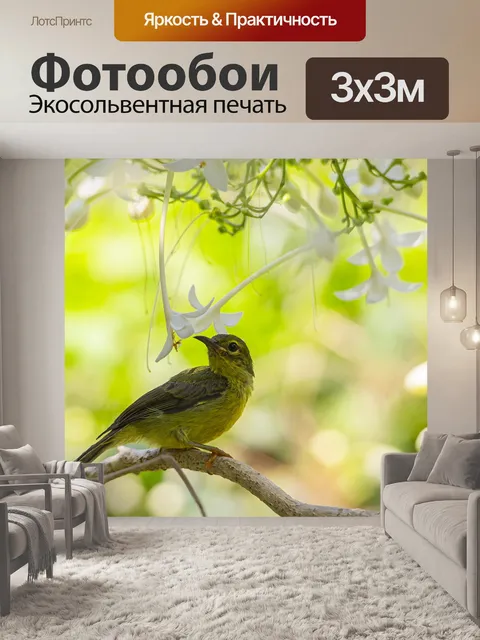 Фотообои Пятнистых