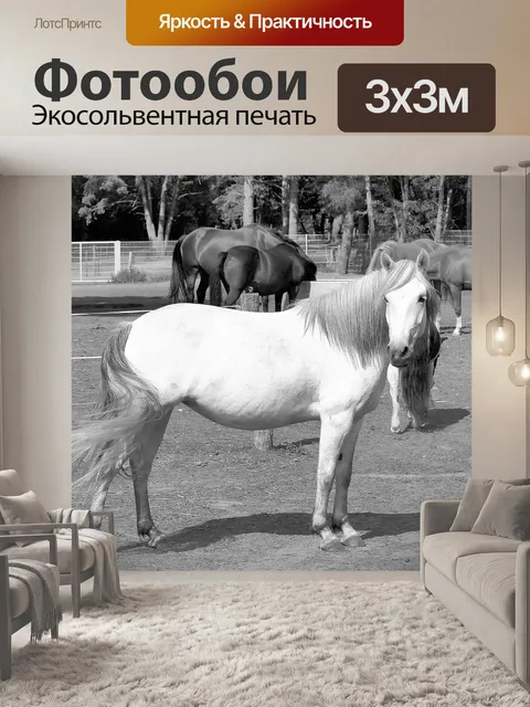 Фотообои Плесень