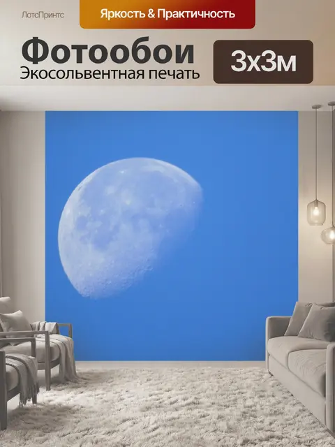 Фотообои День