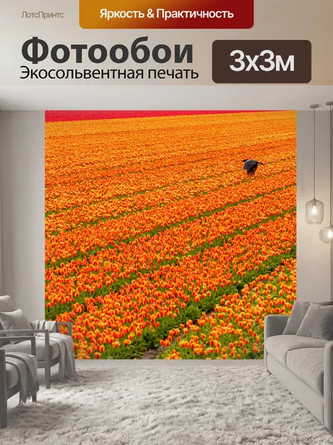 Фотообои Тюльпаны