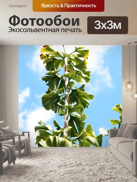 Фотообои вид сверху меняющихся листьев