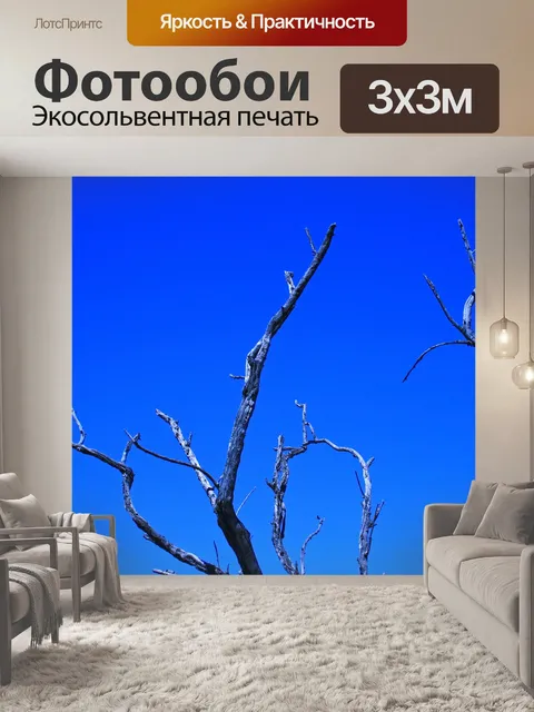Фотообои сухие ветки против голубого неба