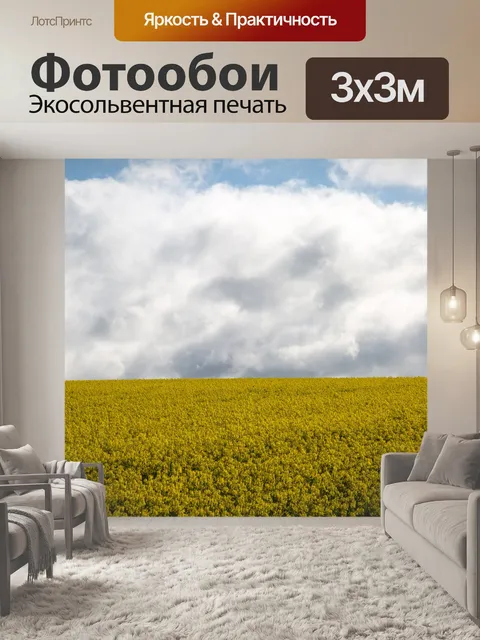 Фотообои Область желтого рапса
