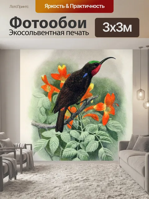 Фотообои Винтажная птица старая иллюстрация