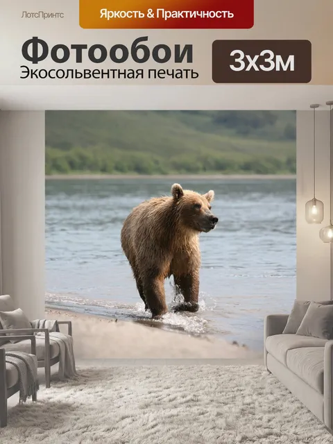 Фотообои Бурый медведь