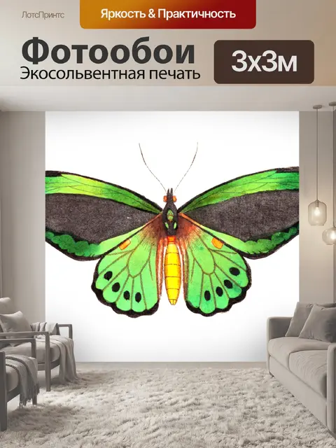 Фотообои Бабочки мотылек винтажное искусство