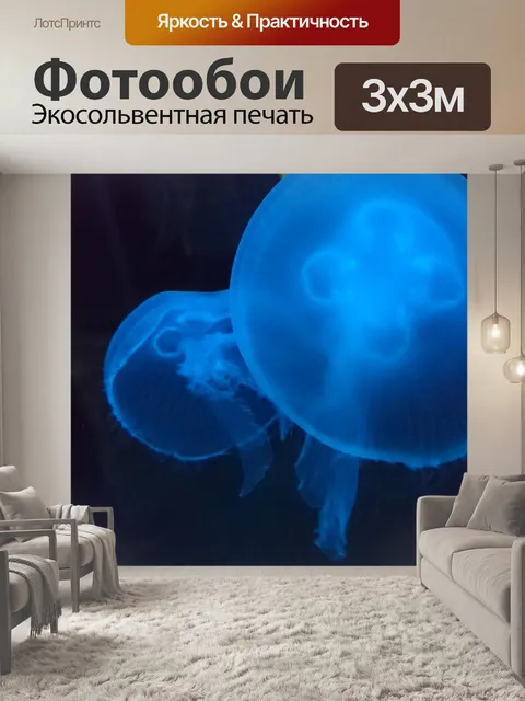 Фотообои Медуза