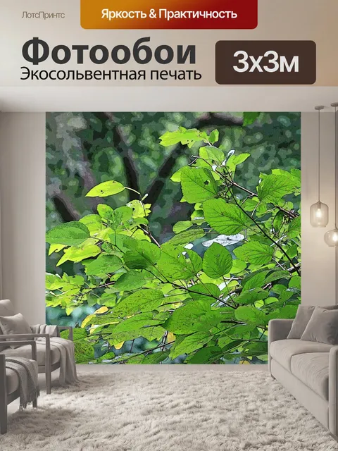 Фотообои свет на листьях