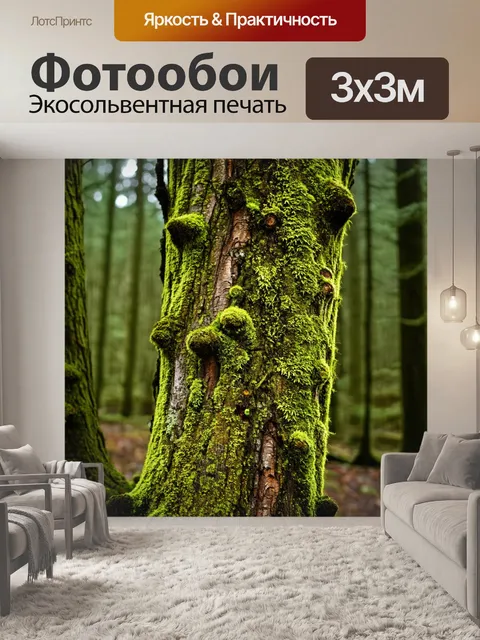 Фотообои мосс и лишайник на старых деревьях, служащие временной отметкой