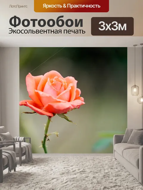 Фотообои Красная роза