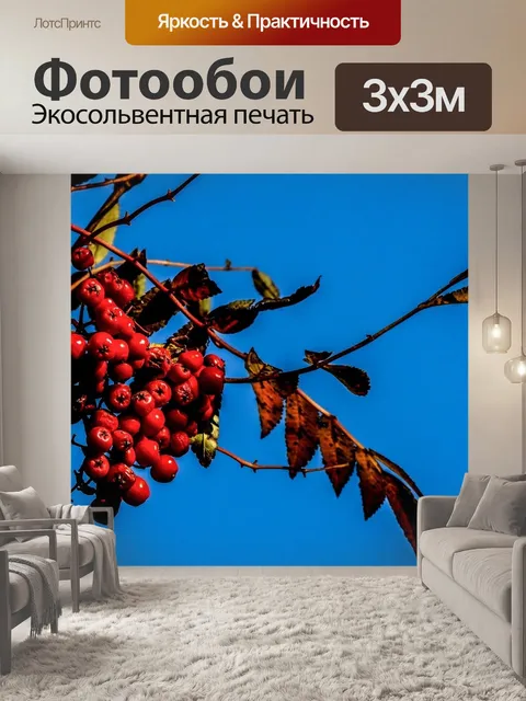 Фотообои Рябина
