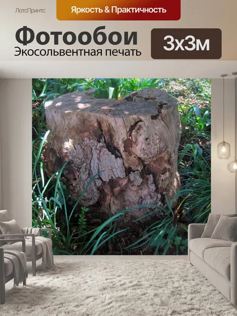Фотообои разлагающихся пень