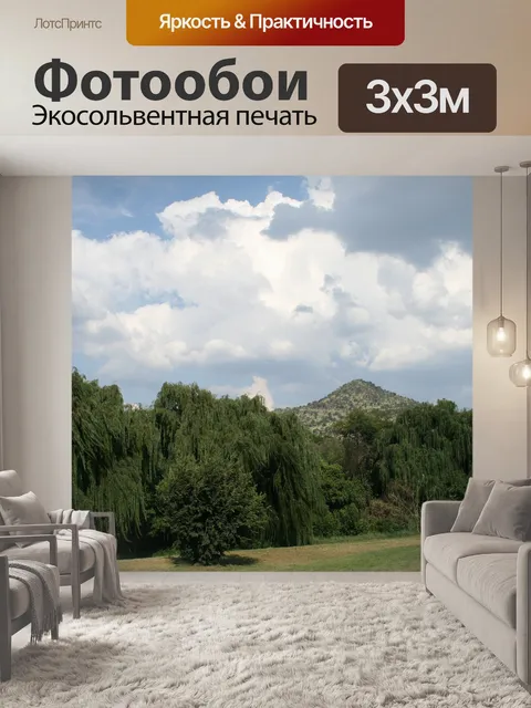 Фотообои ивы, выравнивающие реку