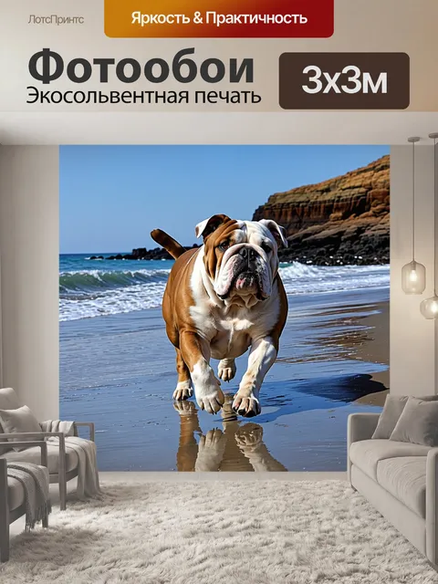Фотообои английский бульдог, гуляющий по берегу океана, высокие волны и переводящиеся вдали скалы
