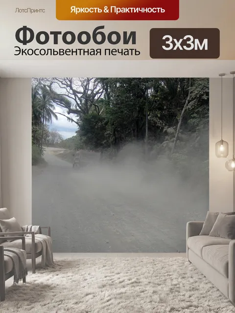 Фотообои пыльной дороге