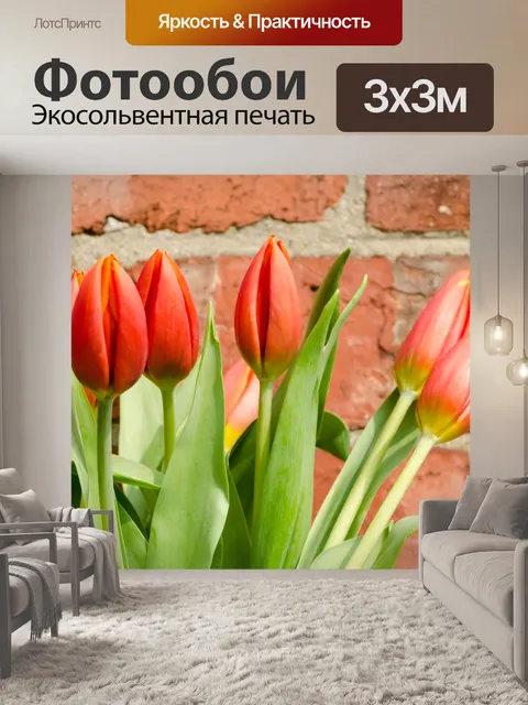 Фотообои Цветок