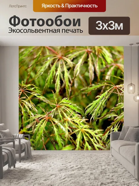 Фотообои Листья