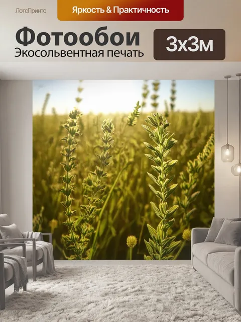Фотообои поле, окруженное ароматическими травами, которые сворачиваются к солнцу, создавая неповторимое благоухание