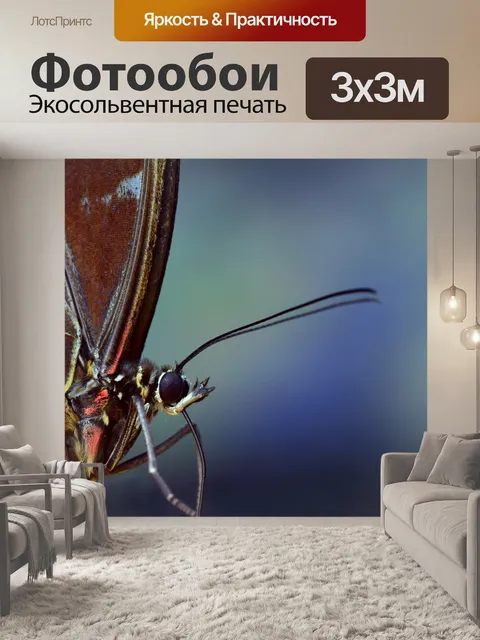 Фотообои Голубая бабочка морфо