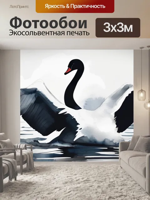 Фотообои черно белый лебедь