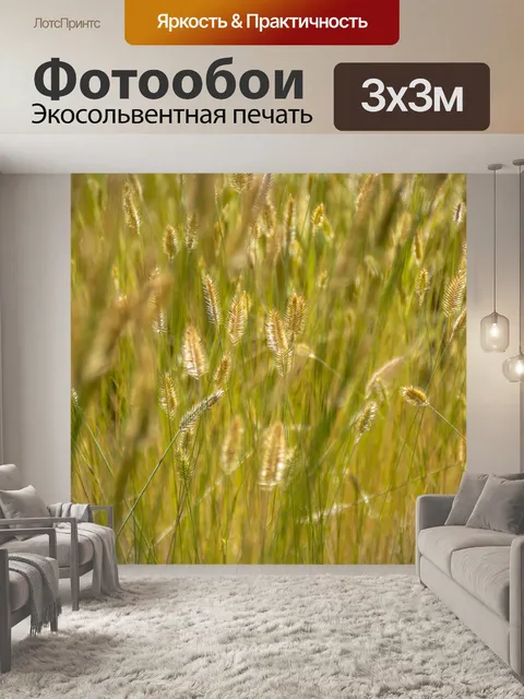 Фотообои трава лисохвоста