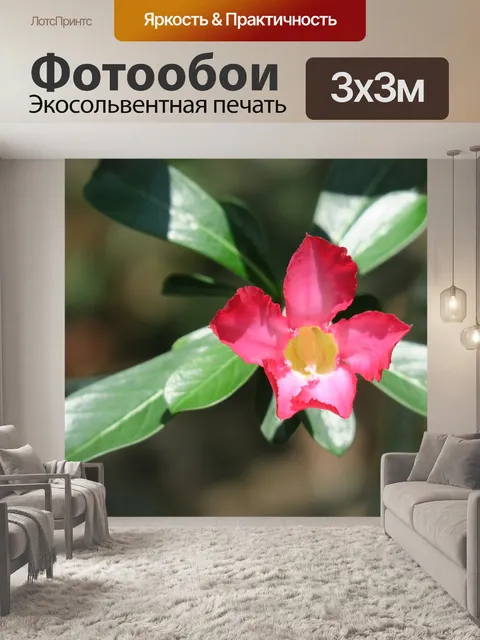 Фотообои Песок девять цветок розы розы