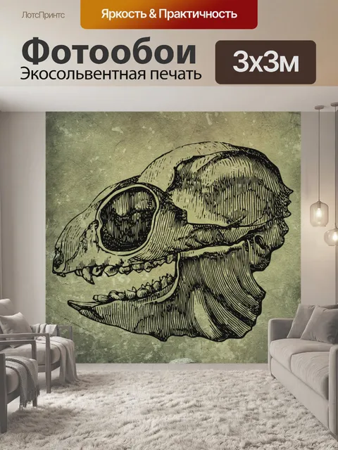 Фотообои череп животного