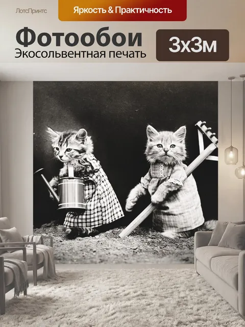 Фотообои Кошка Одетый Vintage Photo