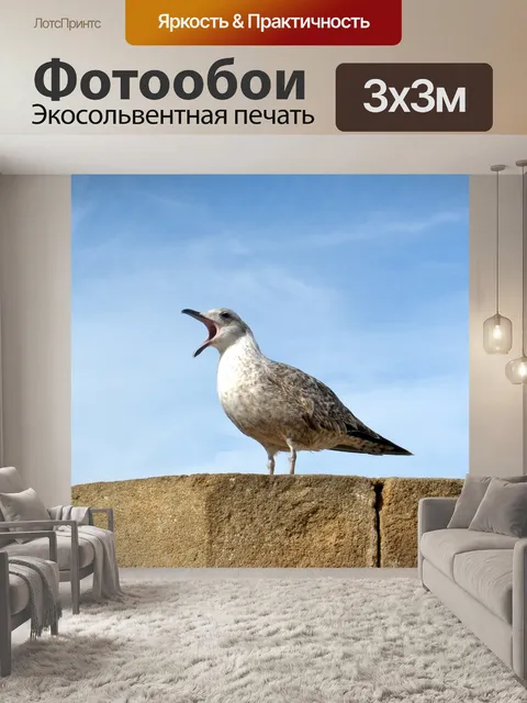 Фотообои чайка