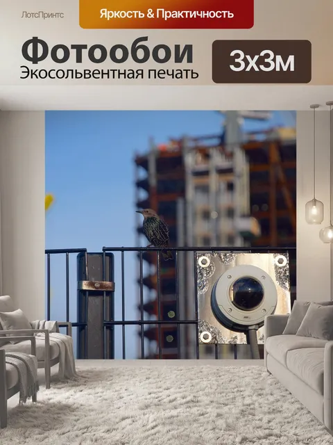 Фотообои Птица
