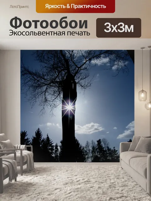 Фотообои Солнце