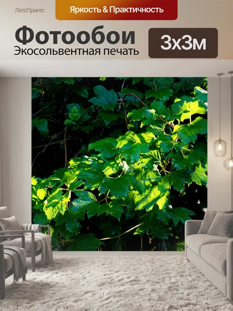 Фотообои Сад