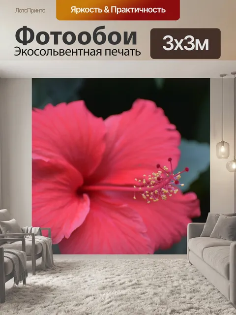 Фотообои Пыльник
