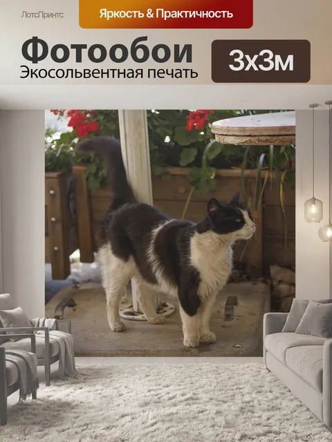Фотообои Кошка