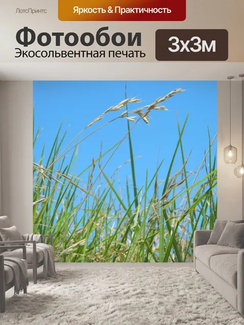 Фотообои Трава и синее небо Фоновая