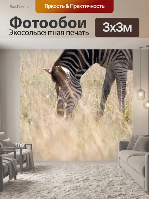 Фотообои пасущаяся зебра, скрытая травой
