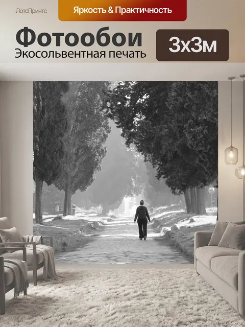 Фотообои Рим
