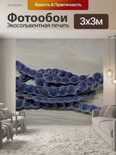 Фотообои душистые стручки семян акации