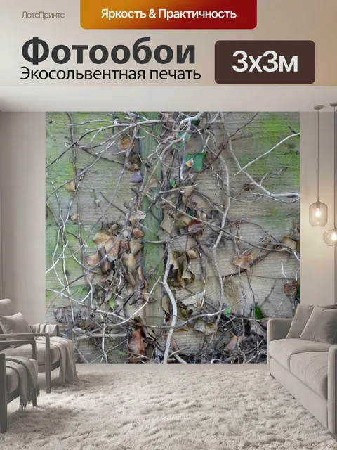 Фотообои Увядающая флора и ветви