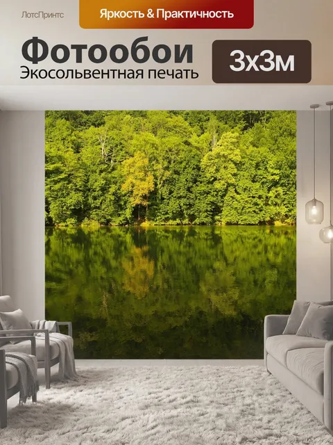 Фотообои Лес