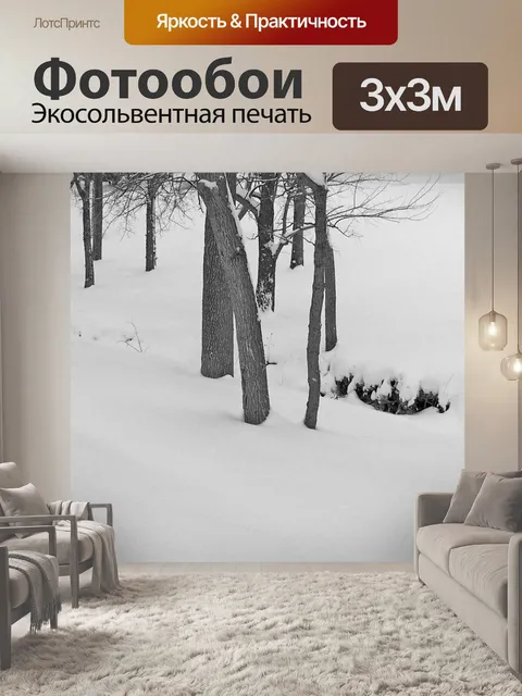 Фотообои Заснеженные Крик