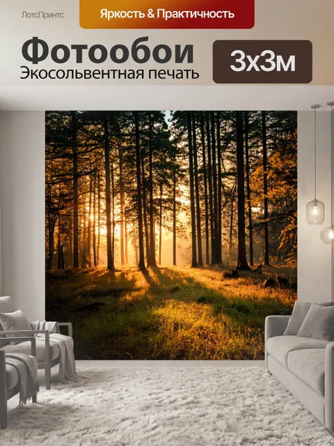 Фотообои вечерний лес с закатом, красивыми тенями от деревьев и мягким светом