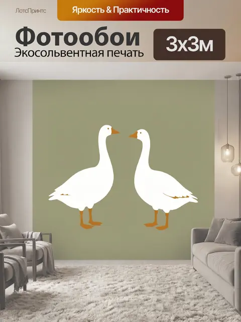 Фотообои Две белые гусыни